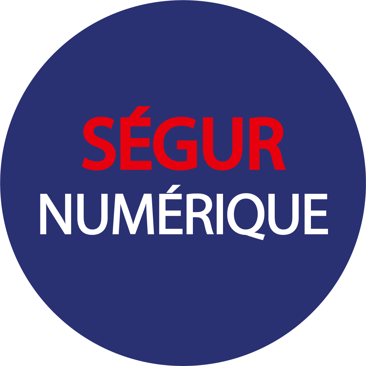 logo Ségur du numérique